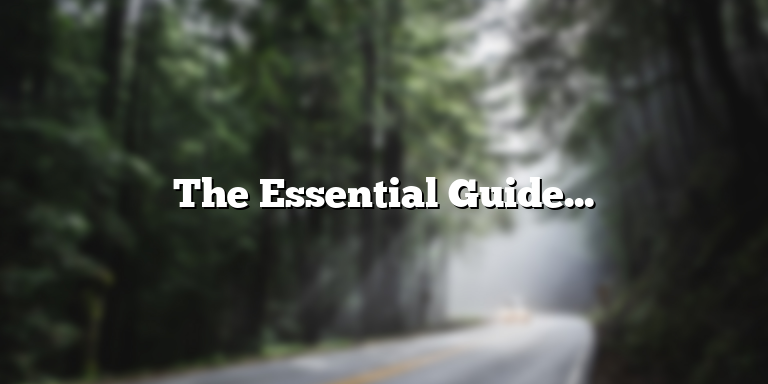 The Essential Guide to Management Definition in Business