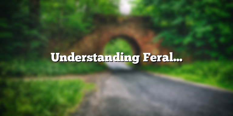 Understanding Feral Cats: Definition, Characteristics, and Behavior