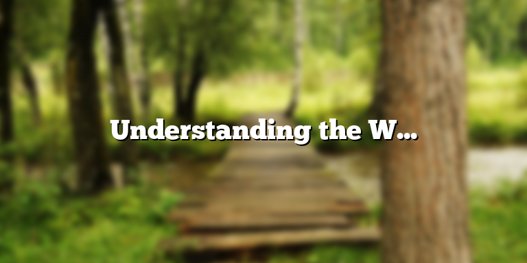 Understanding the Water Cycle Runoff: Definition and Importance