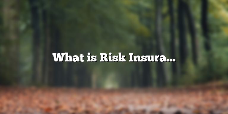 What is Risk Insurance? Understanding the Definition and Importance