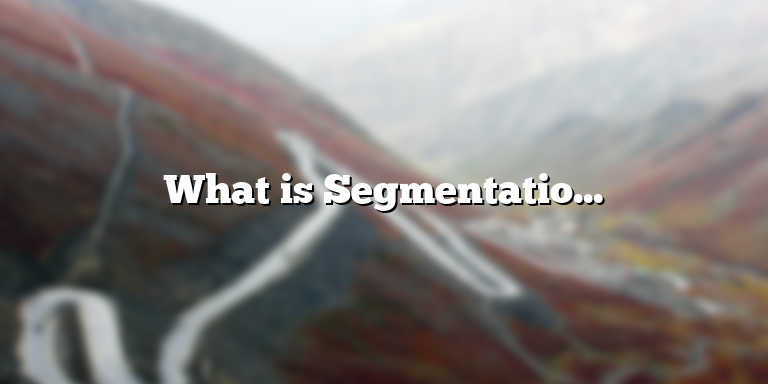 What is Segmentation? Understanding the Definition and Benefits of Market Segmentation