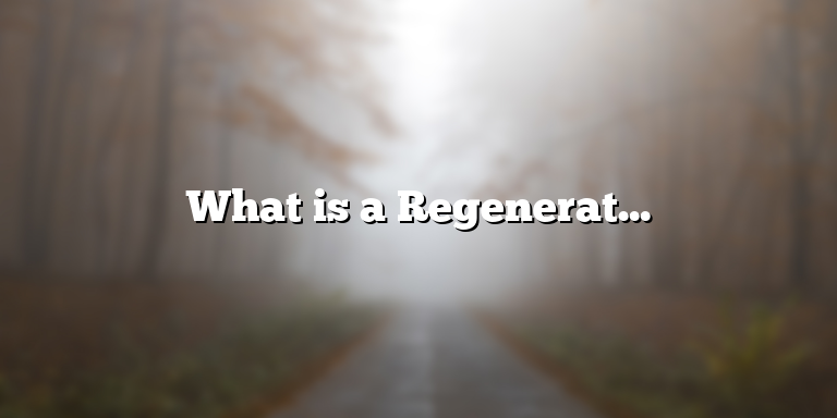 What is a Regenerative Economy? Definition and Key Concepts